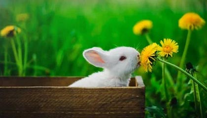 意甲球员训练受伤，呼吁支持